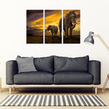 Mother Nature Elephant 3 Piece Framed Canvas Art