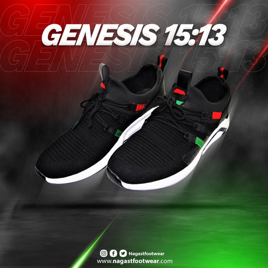 A pair of black sneakers with red and green accents, featuring text 'GENESIS 15:13' on the side, against a background with gradient colors ranging from dark red to green.